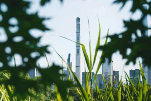 ESG-e-sustentabilidade-na-criação-de-novos-loteamentos-Fauze-Youssef-Skaff